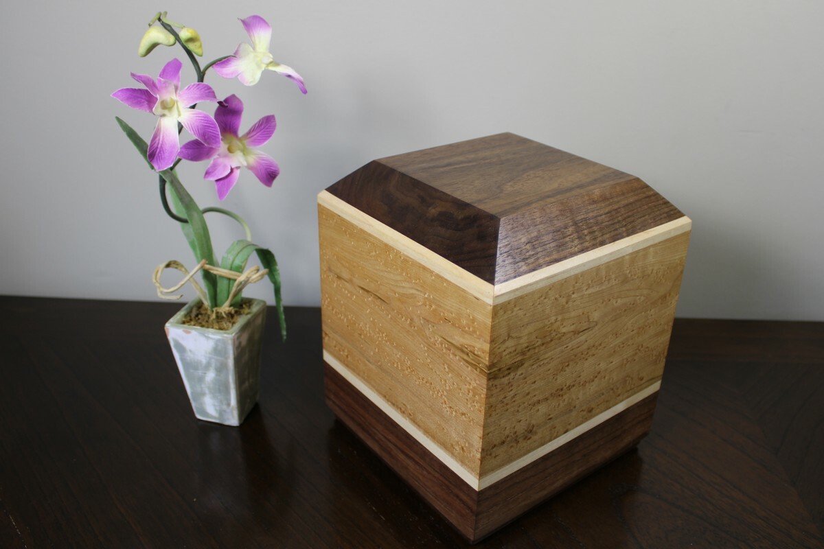 Bird's Eye Maple & Black Walnut Bird's Eye Maple & Black Walnut