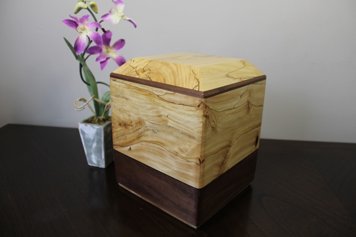 Spalted Elm & Black Walnut Spalted Elm & Black Walnut